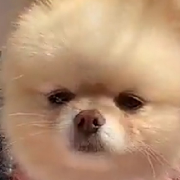 kitkatbarr